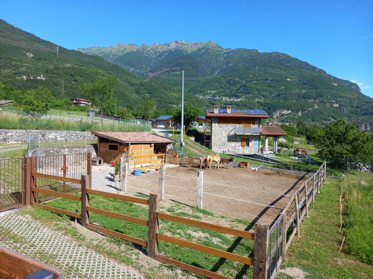 Azienda Agricola Agriturismo I Sei Petali Capo di Ponte Экстерьер фото